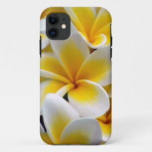 Capa Para iPhone 11 Foto da flor do Plumeria do Frangipani