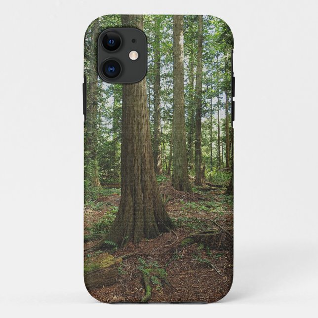Capa Para iPhone 11 Foto da Natureza da Árvore Florestal Verde (Verso)