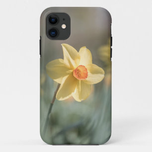Capa Para iPhone 11 Foto da natureza do Daffodil do Flor Amarelo