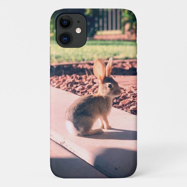 Capa Para iPhone 11 foto de coelho Easter primavera (Verso)