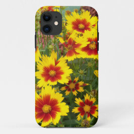 Capa Para iPhone 11 Foto de Flores de Coreopsis vermelhas e amarelas e