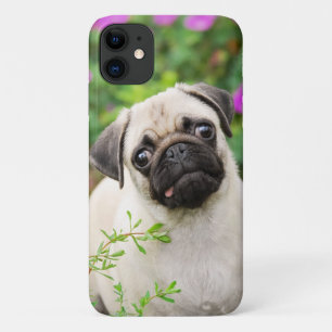 Capa Para iPhone 11 Foto De Pet De Cãozinho Com Cor De Pug Colorida Cu