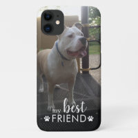 Foto do Cachorro Meu Melhor Amigo