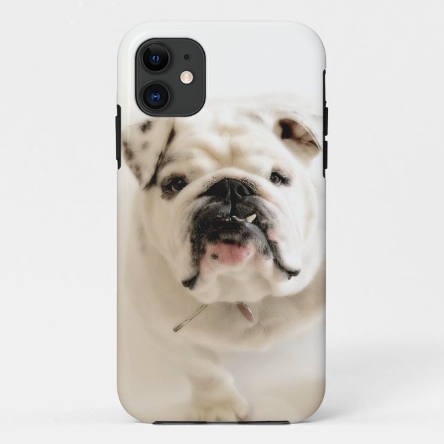 Capa Para iPhone 11 Fotografia branca leal do buldogue (Verso)