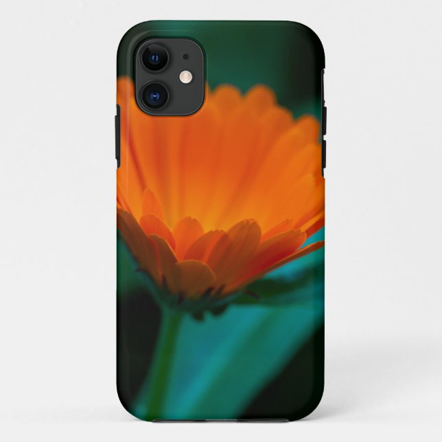 Capa Para iPhone 11 Fotografia da Flor Margarida Laranja (Verso)