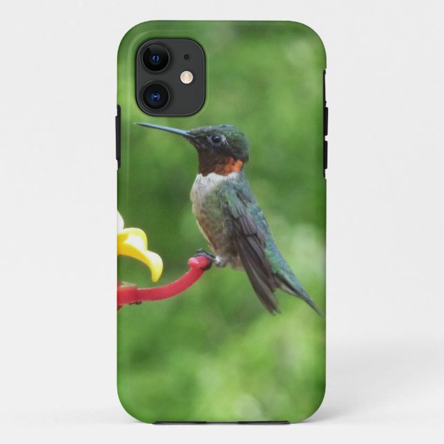 Capa Para iPhone 11 Fotografia de ave-de-galinha-do-mato-rúbi (Verso)