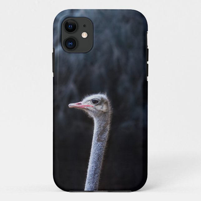 Capa Para iPhone 11 Fotografia de Avestruz (Verso)
