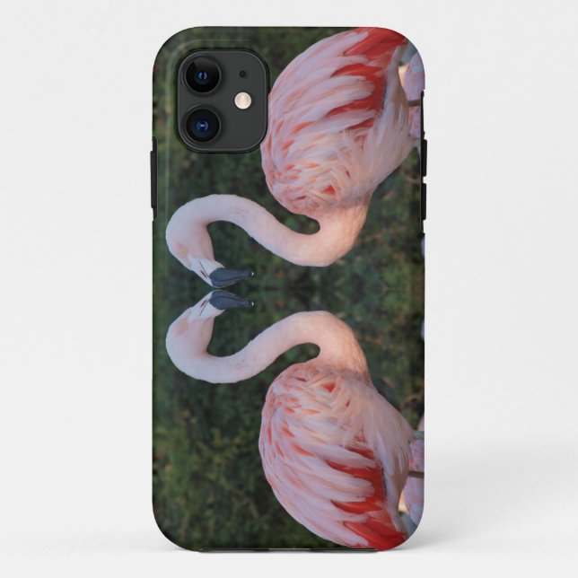 Capa Para iPhone 11 Fotografia de beijo bonito do flamingo (Verso)