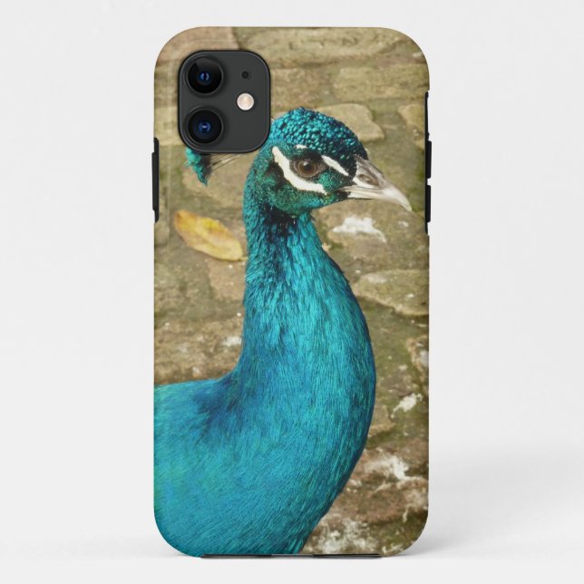 Capa Para iPhone 11 Fotografia de beleza Peacock (Verso)