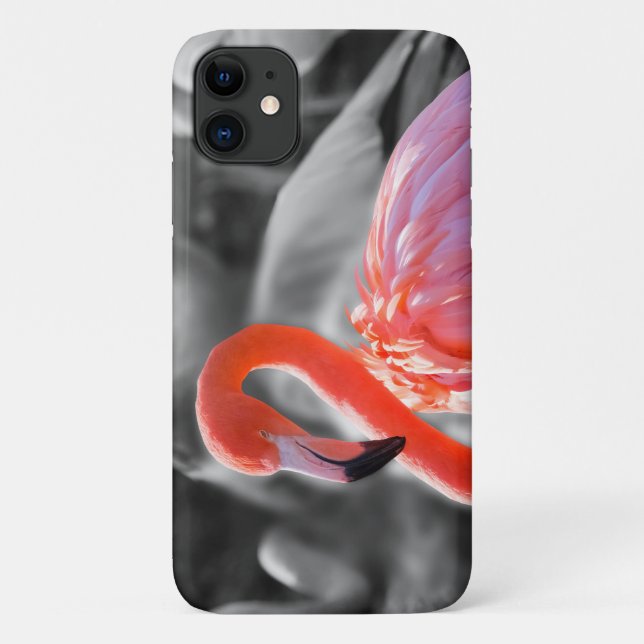 Capa Para iPhone 11 Fotografia de Flamingo Bird (Verso)