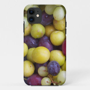 Capa Para iPhone 11 Fotografia de outono, Ameixas de Uva