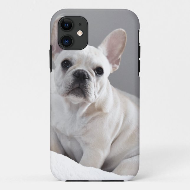Capa Para iPhone 11 Frenchie de creme (Verso)