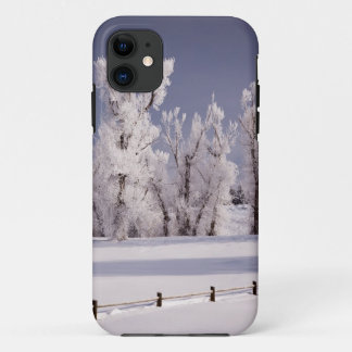 Capa Para iPhone 11 Frost cobriu árvores e cerca, Colorado