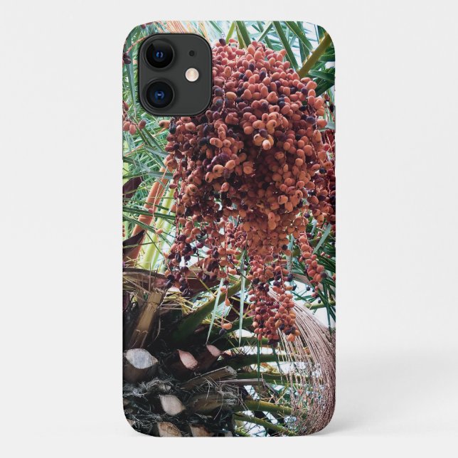 Capa Para iPhone 11 Fruto da Palmeira de Jelly (Verso)