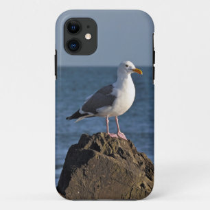Capa Para iPhone 11 Gaivota e oceano brancos