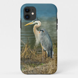 Capa Para iPhone 11 Garça-real de grande azul no lago