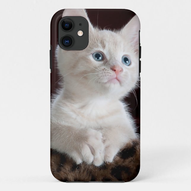 Capa Para iPhone 11 Gatinho branco super bonito (Verso)
