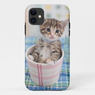 Capa Para iPhone 11 Gatinho de Munchkin com fita bonito