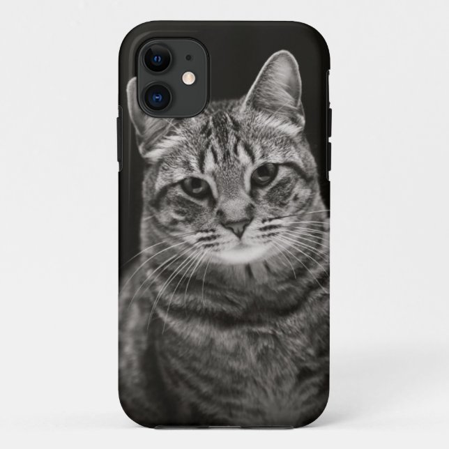 Capa Para iPhone 11 Gatinho preto do gato malhado (Verso)