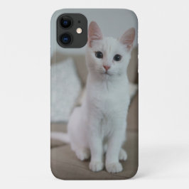 Capa Para iPhone 11 gato American white shorthair