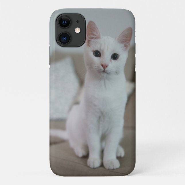 Capa Para iPhone 11 gato branco americano (Verso)