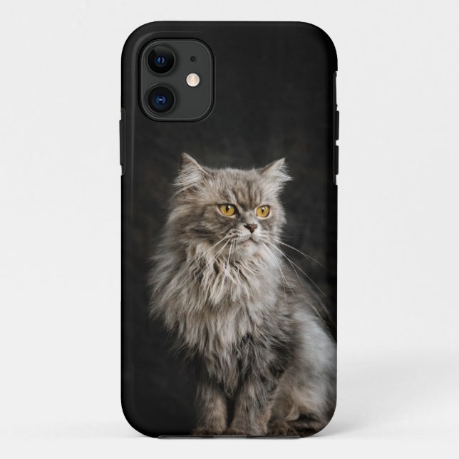 Capa Para iPhone 11 Gato Cinza Fofo  (Verso)