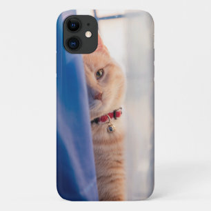 Capa Para iPhone 11 Gato de laranja vira colar próximo, azul