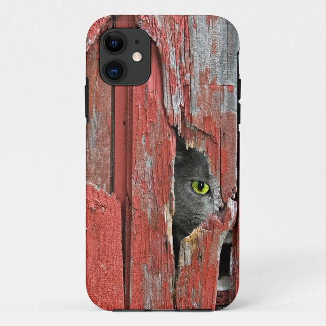 Capa Para iPhone 11 Gato em buraco de madeira do celeiro (Verso)