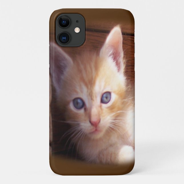 Capa Para iPhone 11 Gatos (Verso)