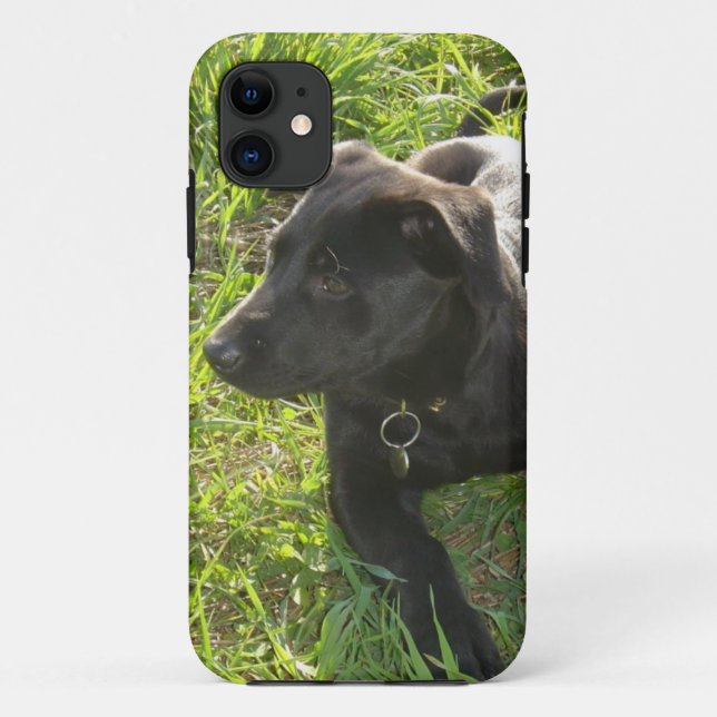 Capa Para iPhone 11 German shepherd preto da laca (Verso)