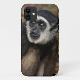 Capa Para iPhone 11 Gibão de mãos brancas (Hylobates Lar), Monkeyland