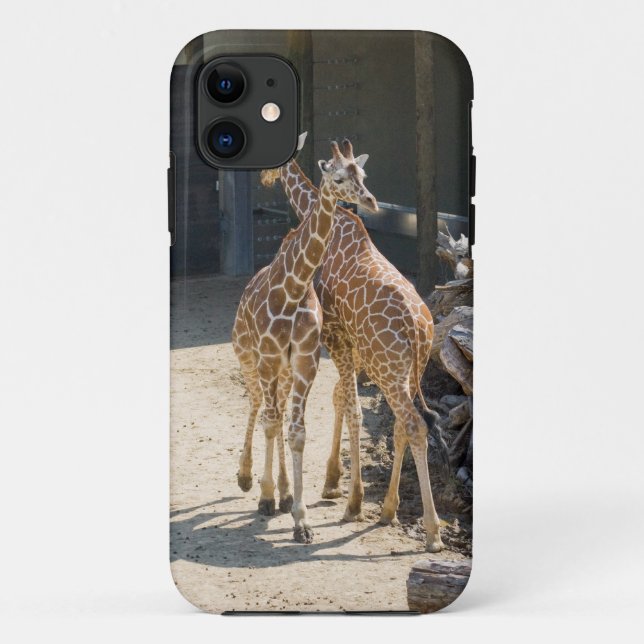 Capa Para iPhone 11 girafas (Verso)