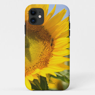 Capa Para iPhone 11 Girassóis gloriosos!