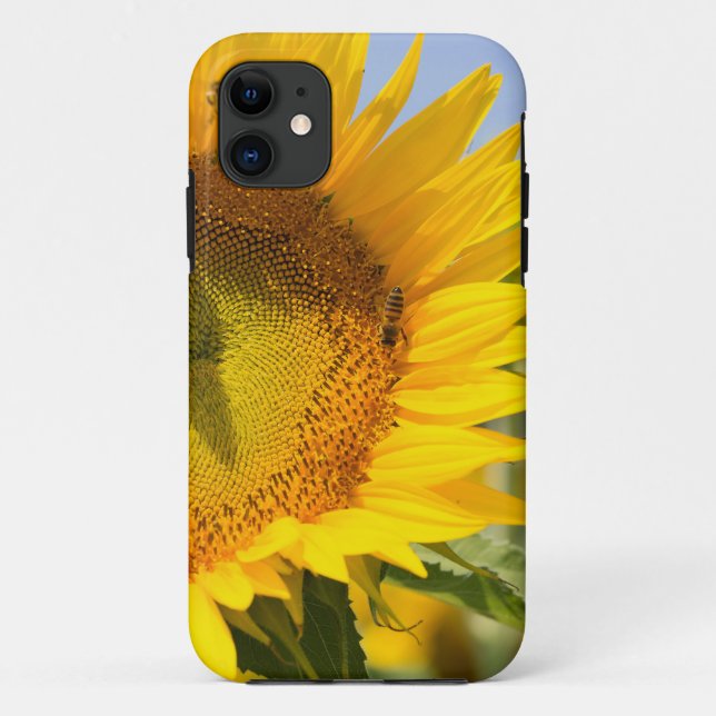 Capa Para iPhone 11 Girassóis gloriosos! (Verso)