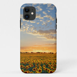 Capa Para iPhone 11 Girassóis no por do sol