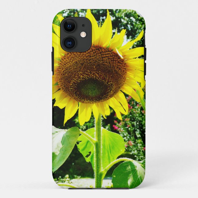 Capa Para iPhone 11 Girassol amarelo grande (Verso)