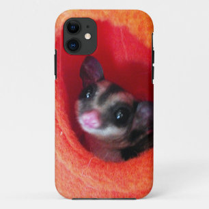 Capa Para iPhone 11 Glider de Açúcar na Cama Laranja