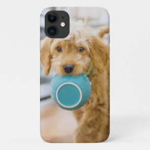 Capa Para iPhone 11 Goldendoodle Carregando Jantar Bowl