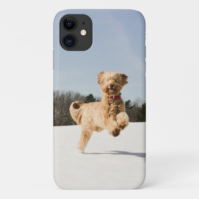 Capa Para iPhone 11 Goldendoodle correndo pelo campo (Verso)