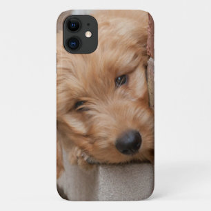 Capa Para iPhone 11 Goldendoodododle Puppy Pupeking