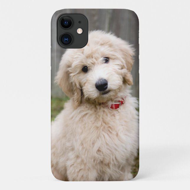 Capa Para iPhone 11 Goldendoododododle Puppy Senta Em Grama (Verso)