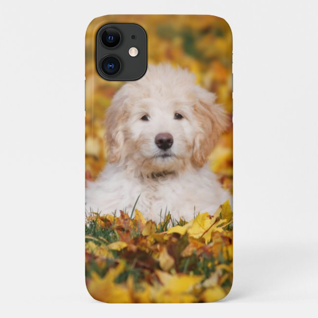 Capa Para iPhone 11 Goldendoodododododle Puppy Em Folhas De Queda (Verso)