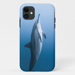 Capa Para iPhone 11 Golfinho-do-mar