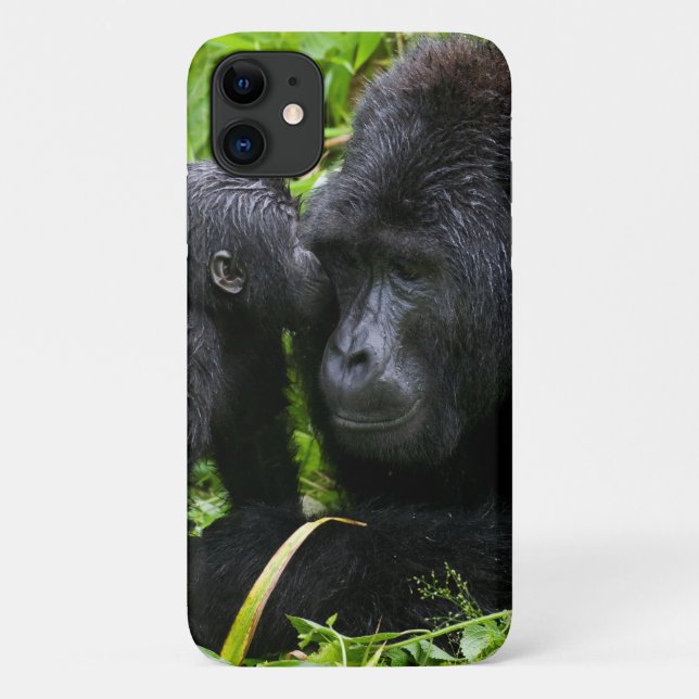 Capa Para iPhone 11 Gorila da Montanha Infantil Beija Gorila Macho Sil (Verso)