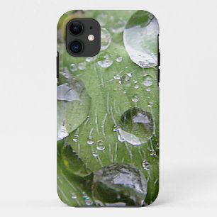 Capa Para iPhone 11 Gotas de água numa folha verde