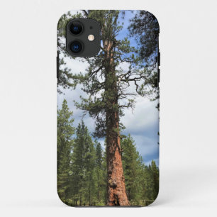 Capa Para iPhone 11 Grande Árvore Vermelha, La Pine, OU
