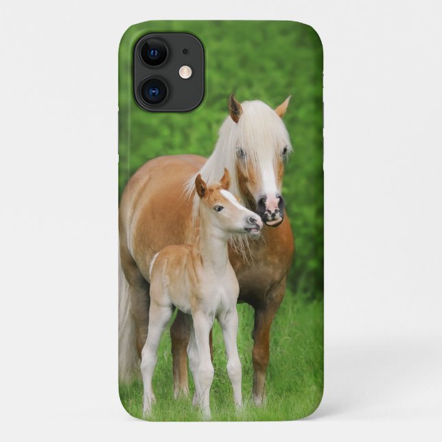 Capa Para iPhone 11 Haflinger Horse Cute Baby Foal Kiss Mãe Pony Foto (Verso)