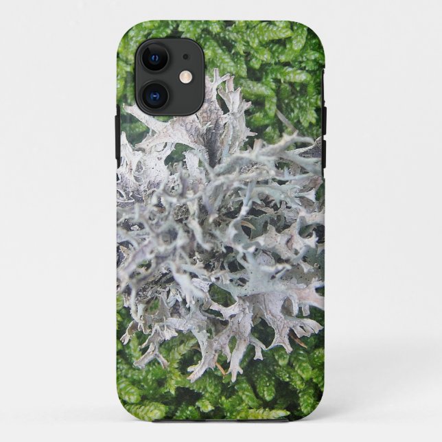Capa Para iPhone 11 Hellgraue Flechte auf hübschem Moos (Verso)
