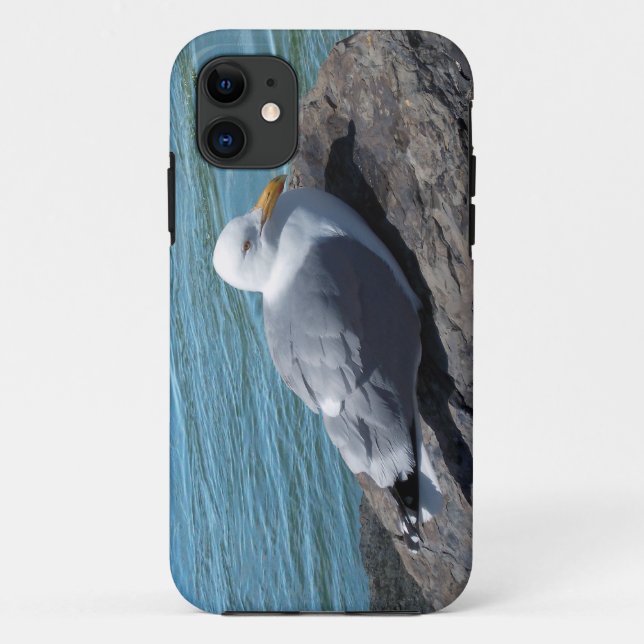 Capa Para iPhone 11 Herring Gull em Rock Jetty (Verso)