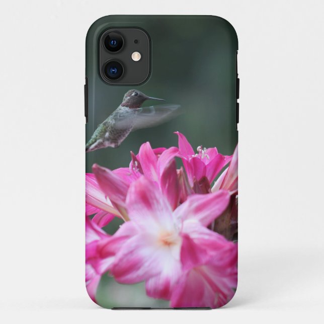 Capa Para iPhone 11 Hummingbird com lírios belladonna (Verso)